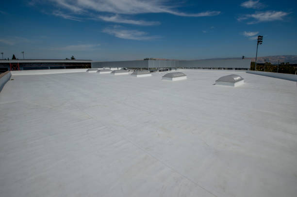 Best Hot Roofs  in Swartz Creek, MI