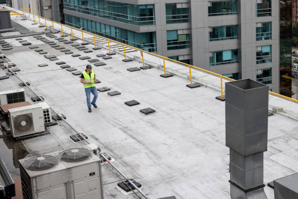 Best Roof Leak Repair  in Swartz Creek, MI
