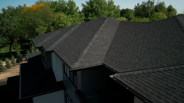 Best Sheet Metal Roofing  in Swartz Creek, MI