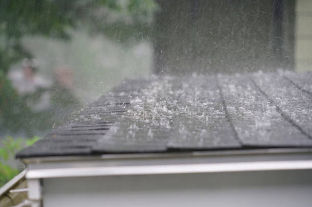 Best Skylight Installation and Repair  in Swartz Creek, MI