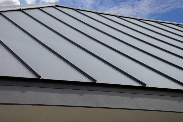 Best Roof Moss and Algae Removal  in Swartz Creek, MI